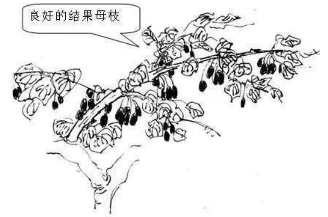 QQ截圖20240704160022.jpg