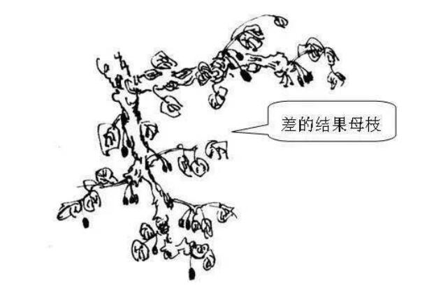 QQ截圖20240704160044.jpg