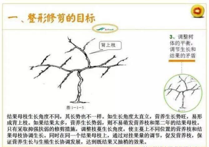 QQ截圖20240704160134.jpg