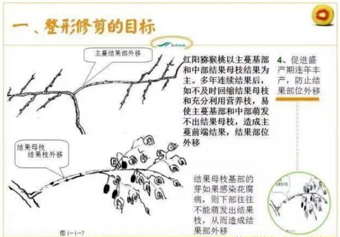 QQ截圖20240704160152.jpg